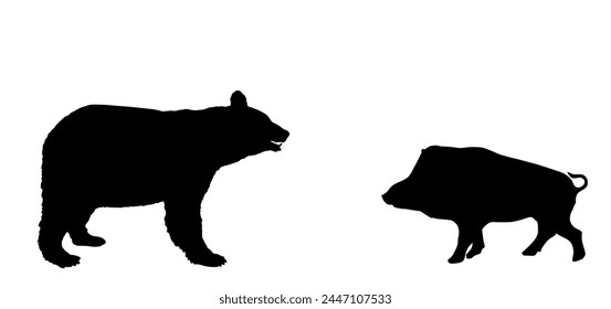 American black bear against wild boar vector silhouette illustration isolated on white background. Wildlife fight bear vs warthog. Forest hungry beast needs food shape shadow.