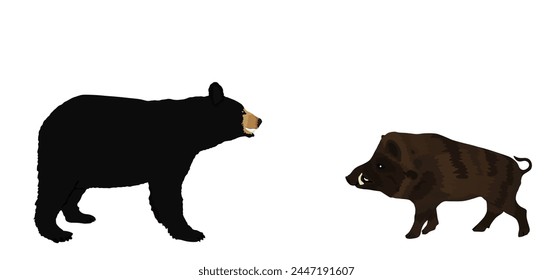 Oso negro americano contra la ilustración de silueta de Vector de jabalí aislado sobre fondo blanco. Oso de lucha contra jabalí contra jabalí. La bestia hambrienta del bosque necesita sombra de forma de comida.