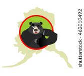 American black bear baribal and Alaska. Grizzlies showing thumbs up and winks. Good animal sign okay. Wild animals and map State United States