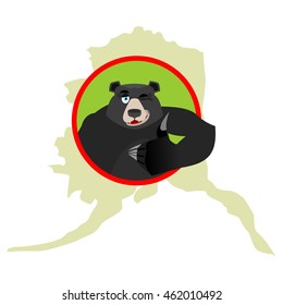 American black bear baribal and Alaska. Grizzlies showing thumbs up and winks. Good animal sign okay. Wild animals and map State United States