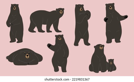 american black bear cute 1, vector illustration