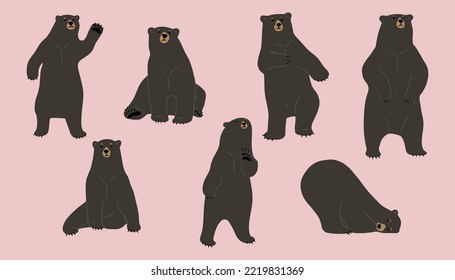 american black bear cute 2, vector illustration