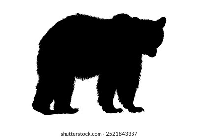American Black Bear Silhouette, Bear Walking Vector Black Clipart