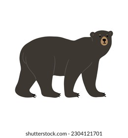 American Black Bear Single cute 2, Vektorgrafik