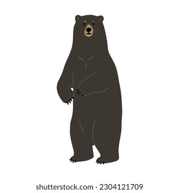 American Black Bear Single cute 1, vector illustration