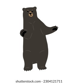 American Black Bear Single cute 4, vector illustration