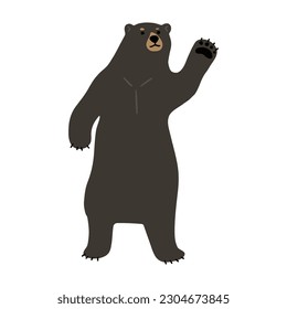 American Black Bear Single cute 8, Vektorgrafik