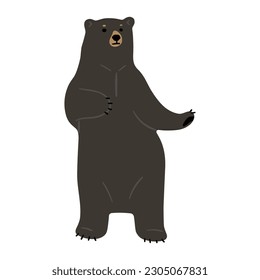 American Black Bear Single lindo 17, ilustración vectorial