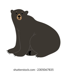 American Black Bear Single cute 21, vector illustration