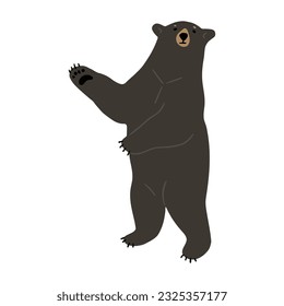 American Black Bear Single cute 32, vector illustration