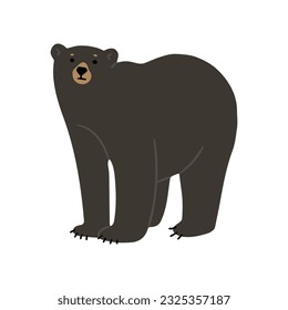 American Black Bear Single cute 35, vector illustration