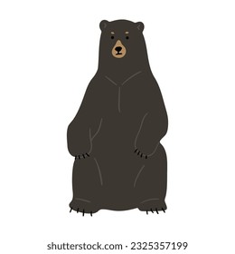American Black Bear Single cute 33, vector illustration