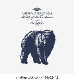 American black bear, Wildlife of America, illustration, vector, blue color