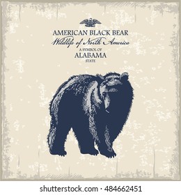 American black bear, Wildlife of America, illustration, vector, vintage