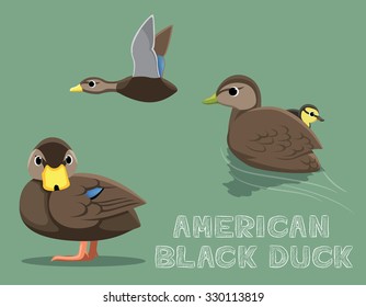 American Black Duck Cartoon Vector Illustration