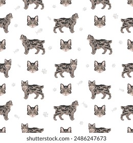 Patrón sin costuras de gato americano Bobtail. Conjunto de todos los colores de la capa.  Todas las razas de gatos características infografía. Ilustración vectorial