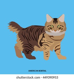 american bobtail, Isolated cat breed, Vector illustration