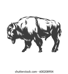 American buffalo inked vector