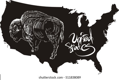 American buffalo and U.S. outline map. Black and white vector illustration. Bison bison.