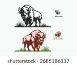 American Buffalo Vector , Bison Wildlife Animal Illustration, Set of Wild Animal Vectors , Jungle and Wildlife Illustration Pack
