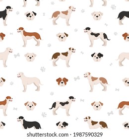 American bulldog all colours seamless pattern. Different coat colors set. Vector illustration