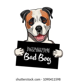 American Bulldog Bad Boy. Dog Criminal. Arrest Photo. Police Records. Ameciran Bulldog Prison. Police Mugshot Background. Vector Illustration.