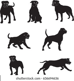 American bulldog, Dog, bulldog, silhouette, pose, vector, symbol, line, graphic