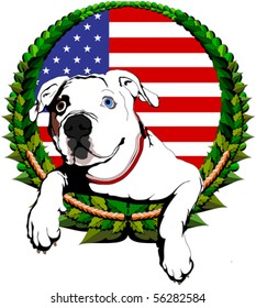 American bulldog with American flag