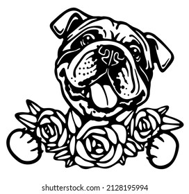 American bulldog with flowers, dog portrait 