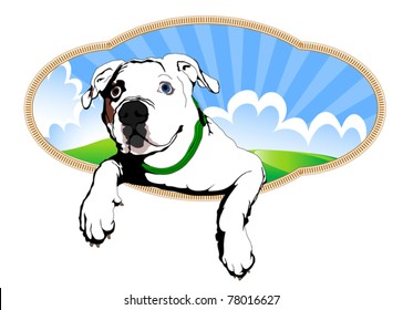 American bulldog frame