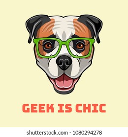 American Bulldog geek. Smart glasses. Dog nerd portrait. Vector illustration. Geek is chic inscription
