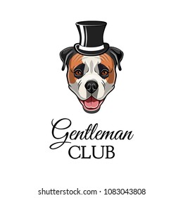 American bulldog gentleman. Top hat icon. Gentleman club inscription. Dog portrait. Vector illustration.