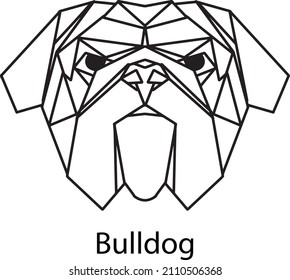   american bulldog vector poligon ilustration