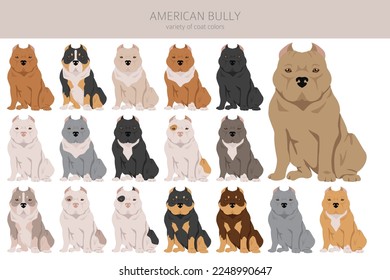 American bully all colours clipart. Different coat colors set.  Vector illustration svg