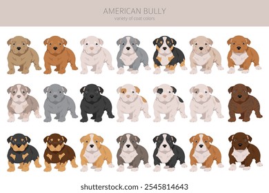 American bully all colours clipart. Different coat colors set.  Vector illustration