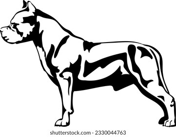 American Bully body outline silhouette svg