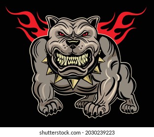American Bully Dog. Aggressive American amstaff.