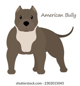 American Bully Dog cute animal in colorful cartoon style isolated on white background. Vector graphics. It was bred to look intimidating, it makes an extremely friendly family pet.