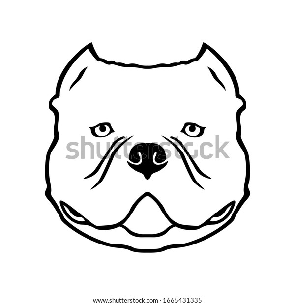Featured image of post How To Draw A Bully Dog We focus on every detail like dog ears nose eyes and even postures