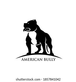 Download Bully Puppy Hd Stock Images Shutterstock
