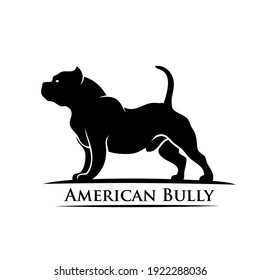 American Bully dog isolated vector illustration