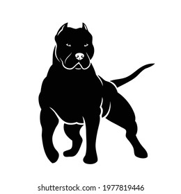 American Bully dog isolated vector illustration
 svg