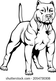 American Bully Dog line art vector illustration svg