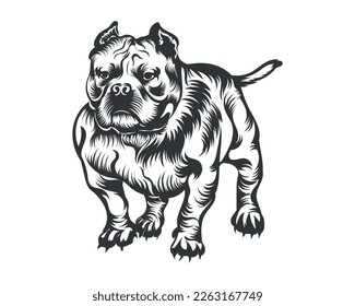 American Bully Dog Vector Illustration, Bully Dog Vector Black on White Background svg