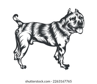 American Bully Dog Vector Illustration, Bully Dog Vector Black on White Background