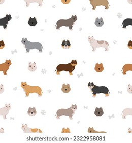 American bully dogs set. Color varieties, different poses. Seamless pattern. Vector illustration