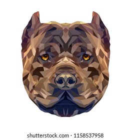 American bully polygonal portrait