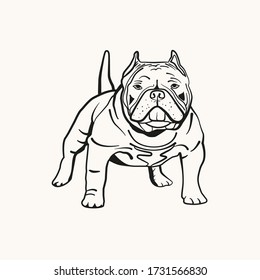 American bully short line art vector illustration. Graphical dog with tale. Purebred pet. Image for banner, t-shirt, logo or emblem. Sketch for tattoo.   svg