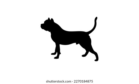 American Bully silhouette, high quality vector
