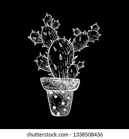 American cactus, prickly pear. Pretty plant in the pot. Design element. Vector illustration, monochrome drawing, isolated. Opuntia.
